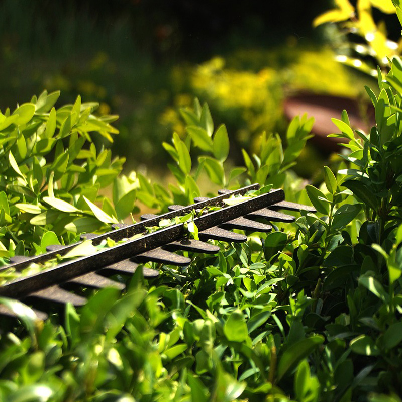 Gartenpflege deeg Landschaftsgärtner