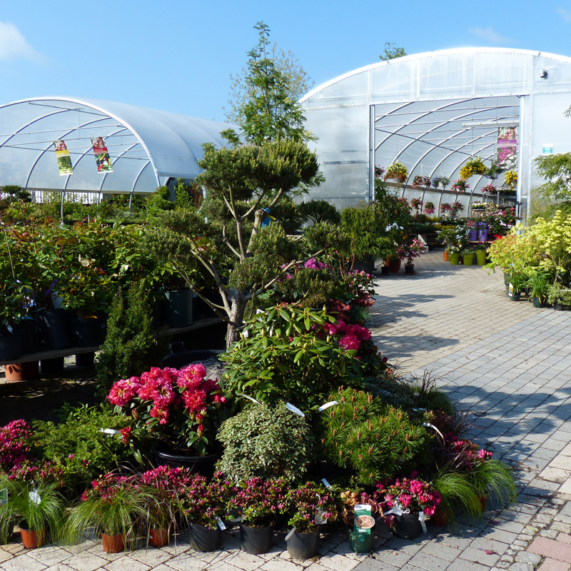 deeg's Pflanzenwelt Gärtner Gartenpflanzen Hof Saale