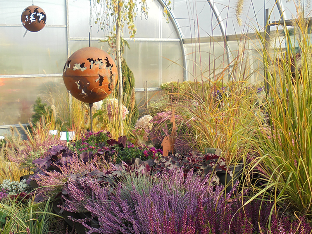 Bild Herbstzauber